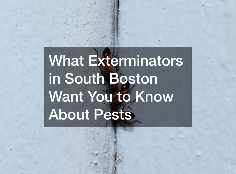 exterminators in south boston