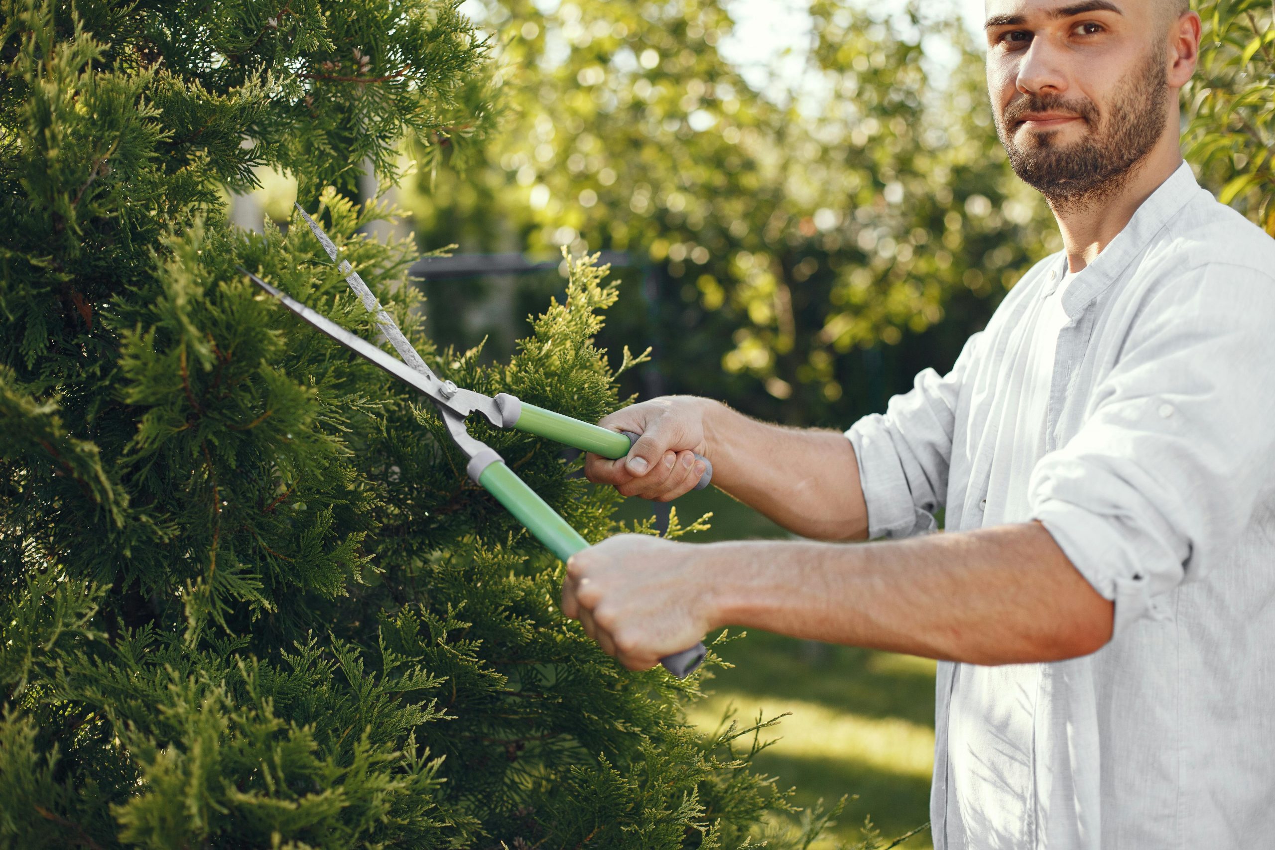 man cutting trees in the backyard